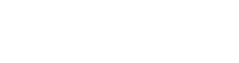 Software Holding — WiseOSC client