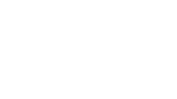 Lisa — WiseOSC client